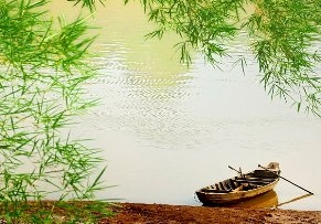 Dòng[-]sông[-]tri[-]thức
